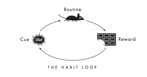 Power of habit book habit image