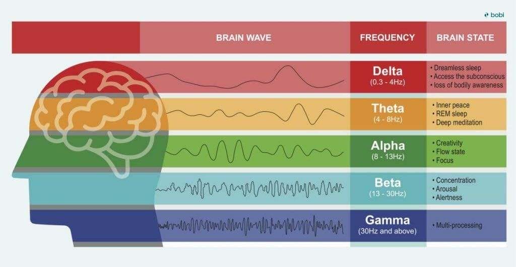 Alpha brain waves 