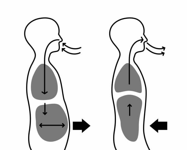 Conscious Breathing's Power in CBT with bobi