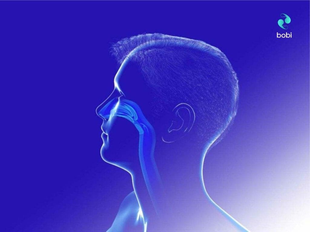 Unlocking the science of nasal breathing benefits 