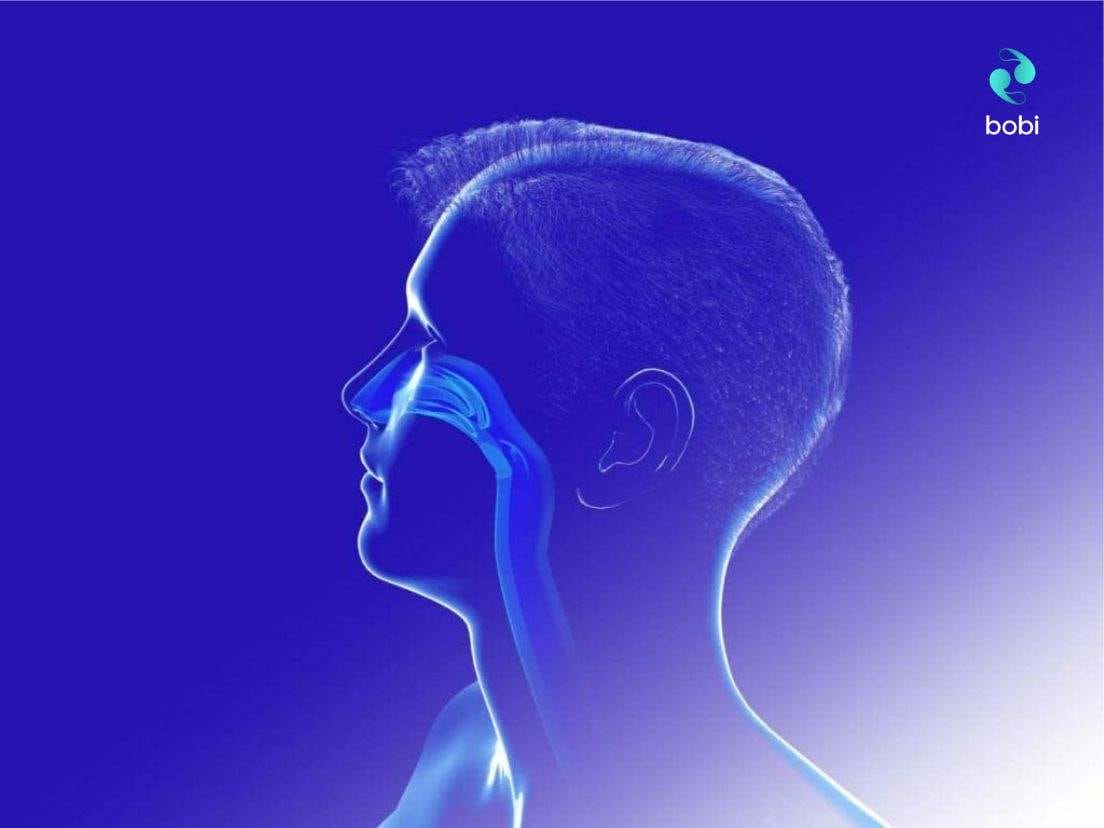 Unlocking the Science of Nasal Breathing Benefits